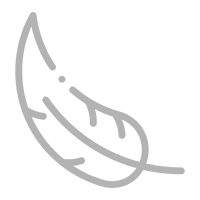 ECO icon